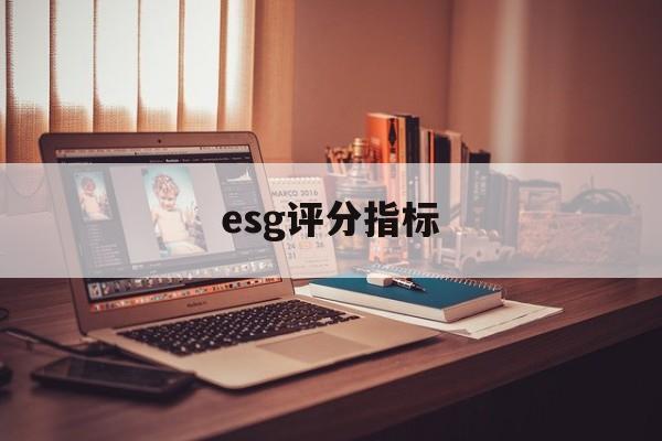 esg评分指标(esg评价体系详细指标)